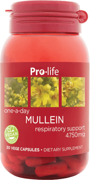 Pro-life Mullein 30 Capsules - HealthHQ