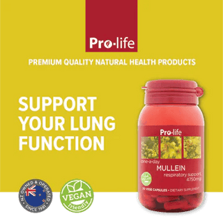 Pro-life Mullein 30 Capsules - HealthHQ