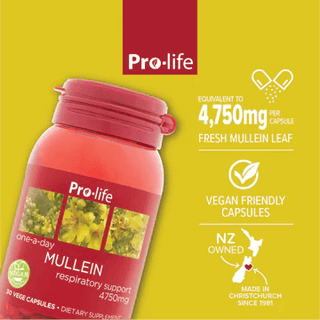 Pro-life Mullein 30 Capsules - HealthHQ