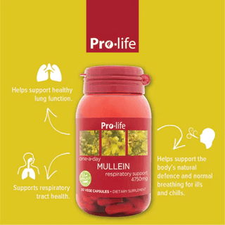 Pro-life Mullein 30 Capsules - HealthHQ